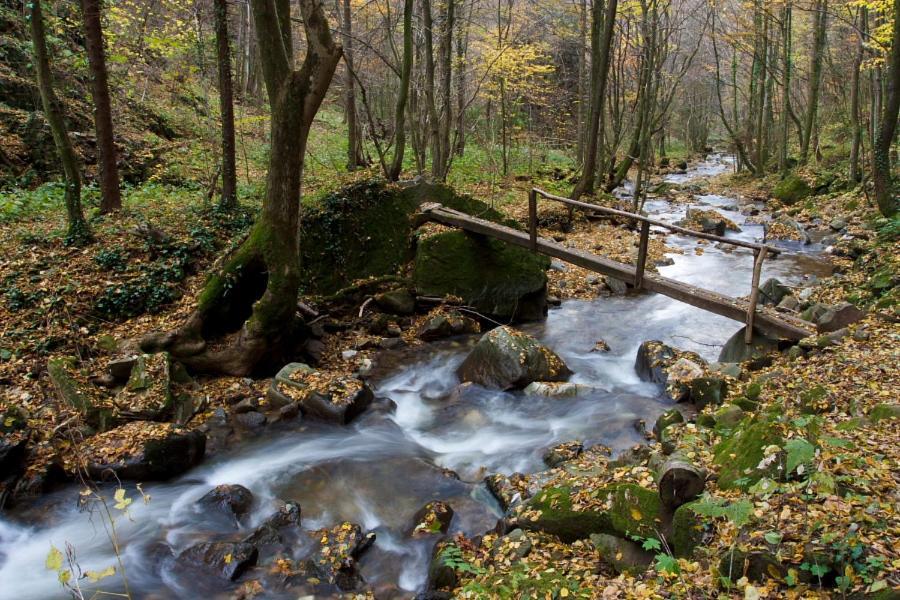 Ruska Koca Hotel Hocko Pohorje Luaran gambar